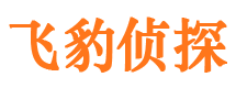 青阳市侦探公司